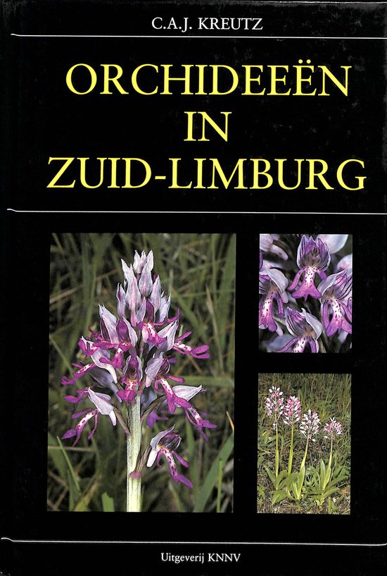 Orchideeen in zuid-limburg