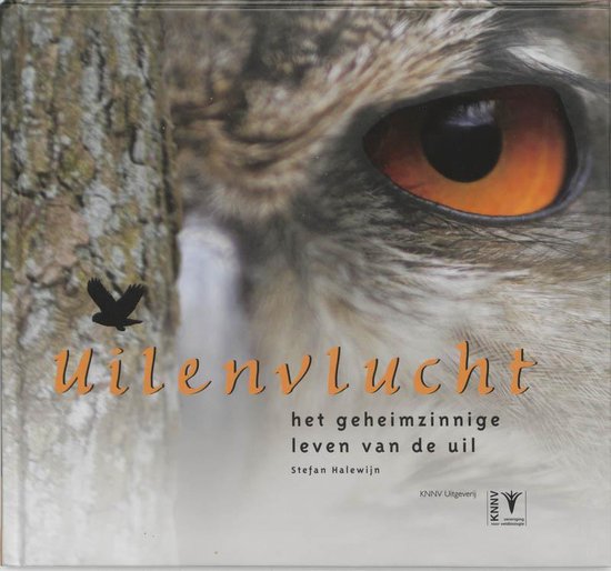 Uilenvlucht