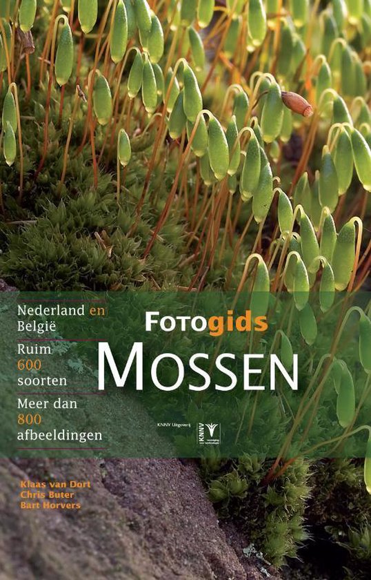 Fotogids mossen