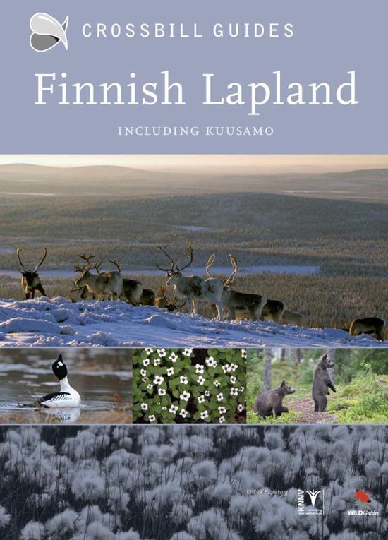 Finnish Lapland