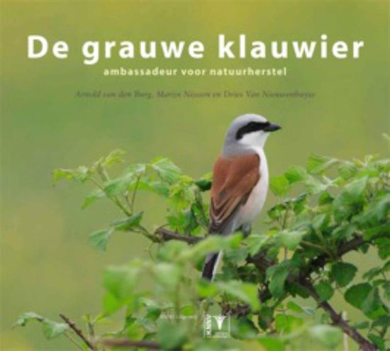 De Grauwe Klauwier