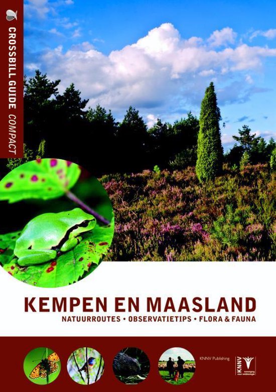 Crossbill Compact - Kempen en Maasland