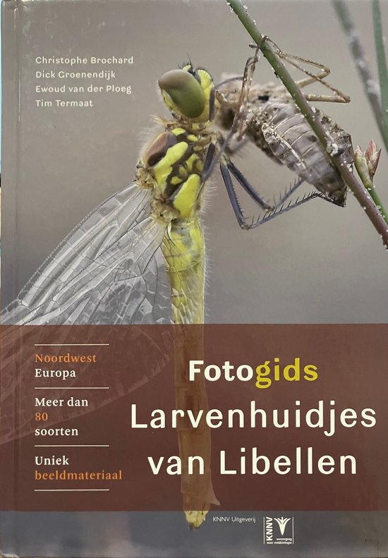 Fotogids larvenhuidjes van libellen