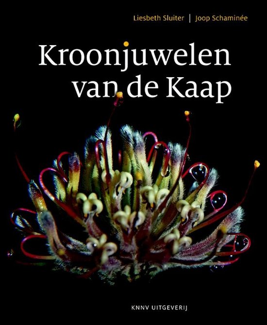 Kroonjuwelen van de Kaap