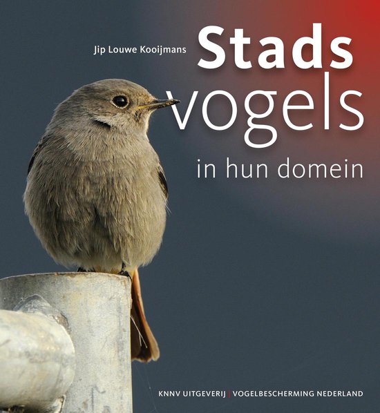 Stadsvogels in hun domein