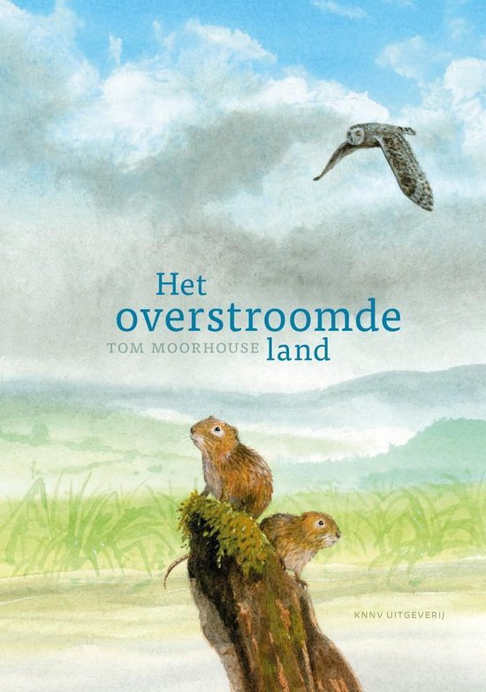 Het overstroomde land