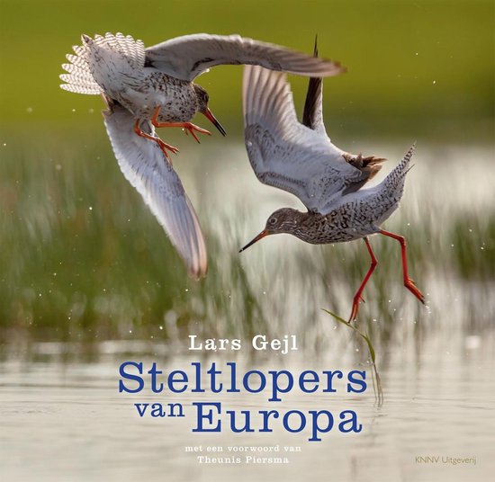 Steltlopers van Europa