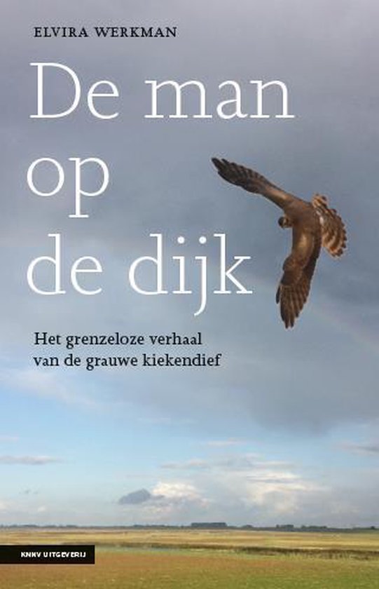 De man op de dijk