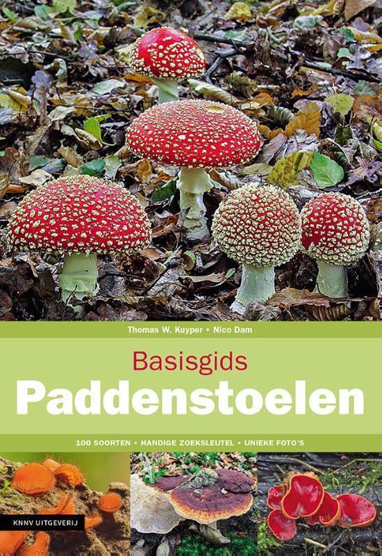 Basisgids - Basisgids Paddenstoelen