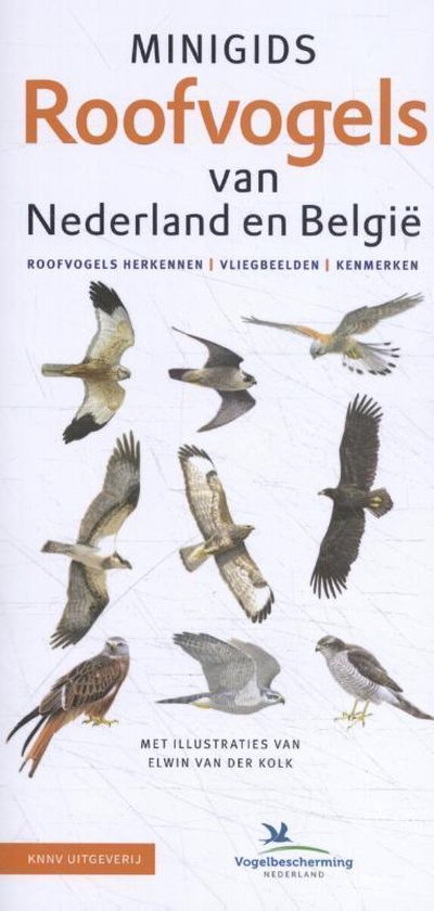 Minigids  -   Minigids Roofvogels van Nederland en België