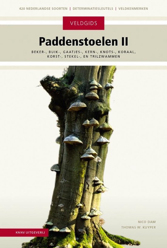 Veldgids - Paddenstoelen II