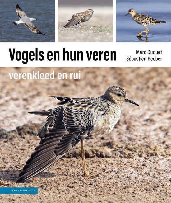 Vogels en hun veren