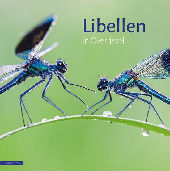 Libellen in Overijssel