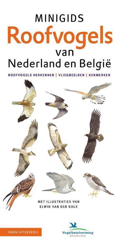 Minigids - Set Minigids Roofvogels van Nederland en Belgie