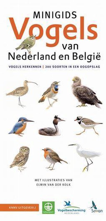 Minigids - Set Minigids Vogels van Nederland en België