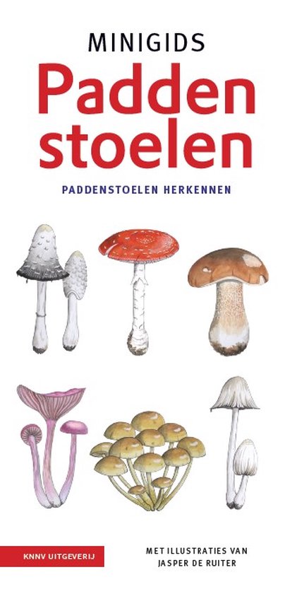 Minigids  -   Minigids Paddenstoelen set