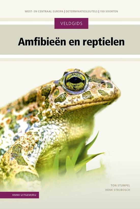 Veldgids - Amfibieën en reptielen