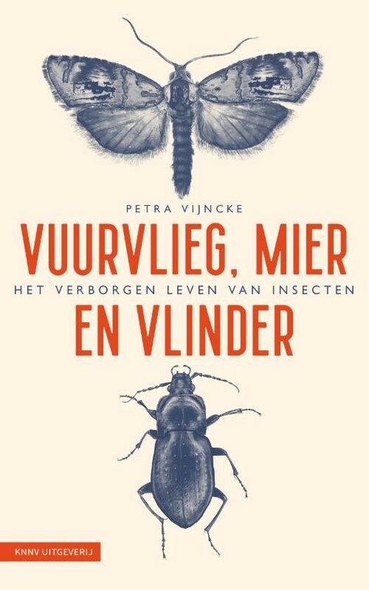 Vuurvlieg, mier en vlinder