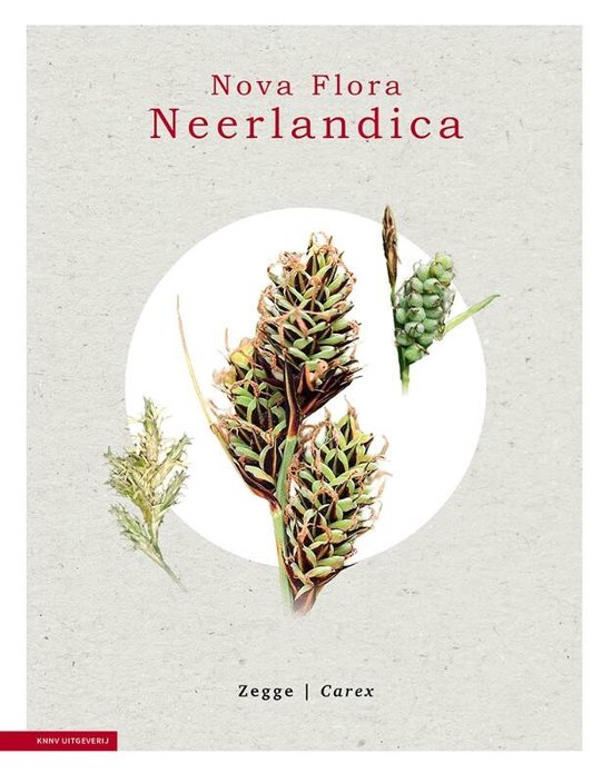 Nova Flora Neerlandica 2 - Zegge - Carex