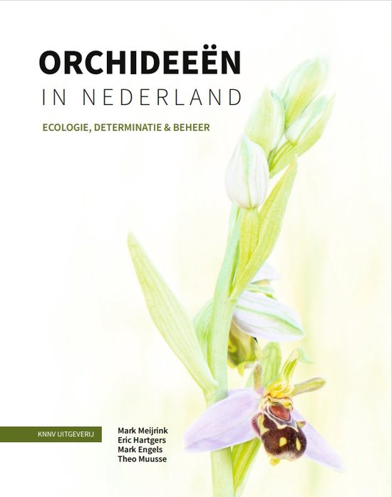 Orchideeën in Nederland