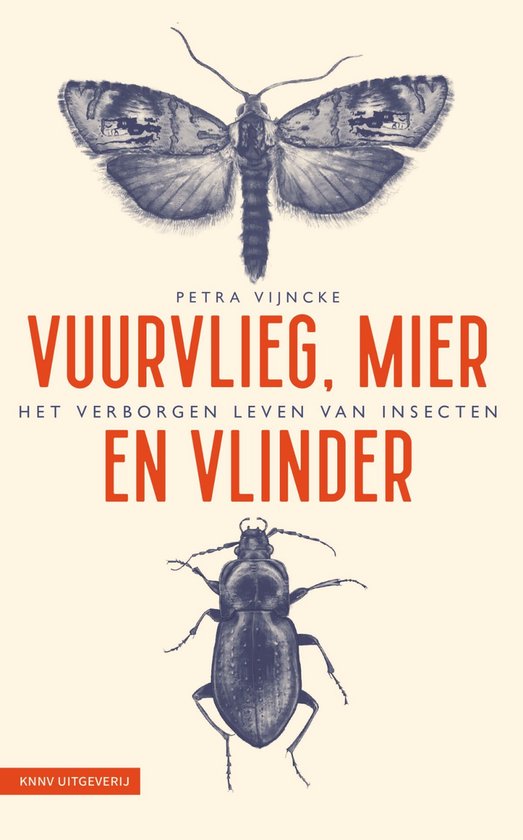 Vuurvlieg, mier en vlinder