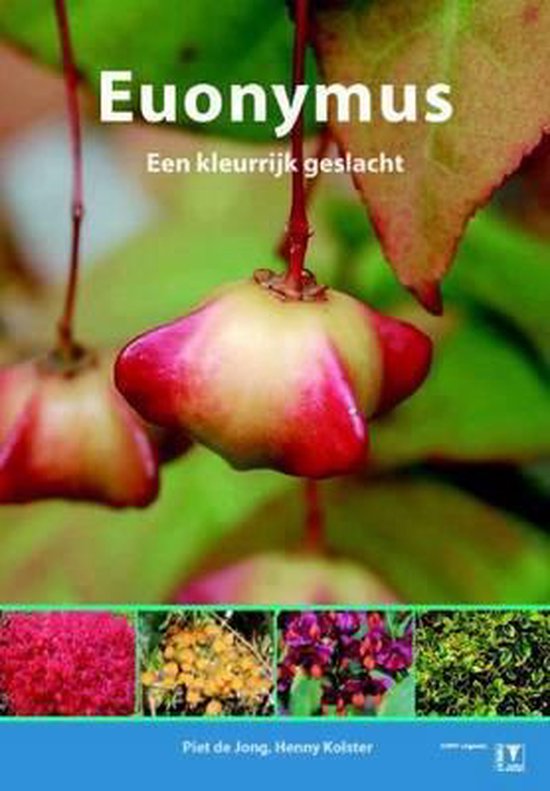 Euonymus