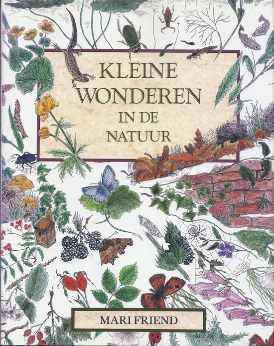 Kleine wonderen in de natuur