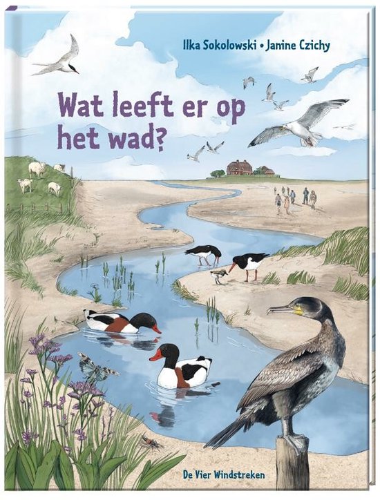 Wat leeft er op het wad?