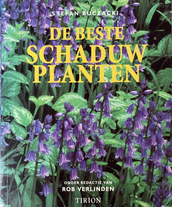 Beste Schaduwplanten