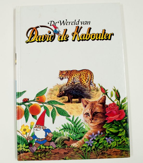 De wereld van David de kabouter 22