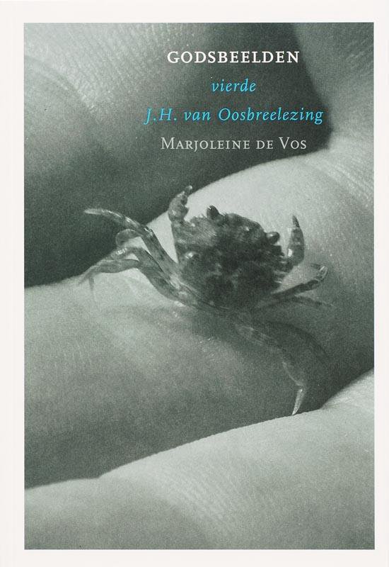 J.H. van Oosbreelezing 4 - Godsbeelden