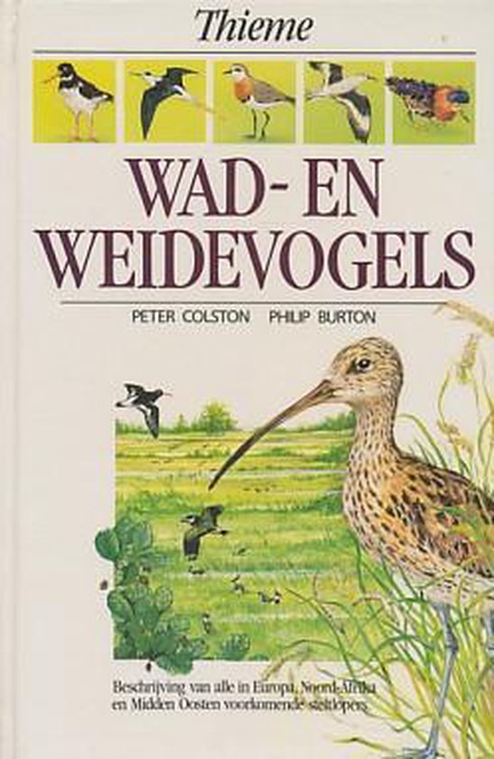 Wad- en weidevogels