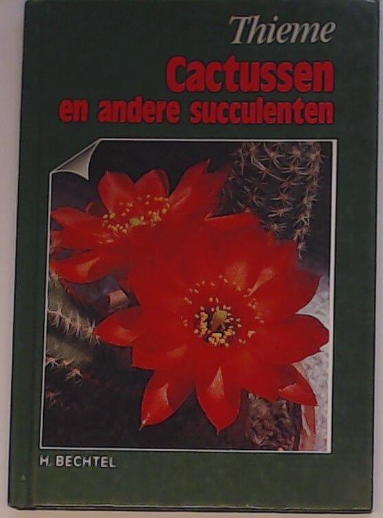 Cactussen en andere succulenten