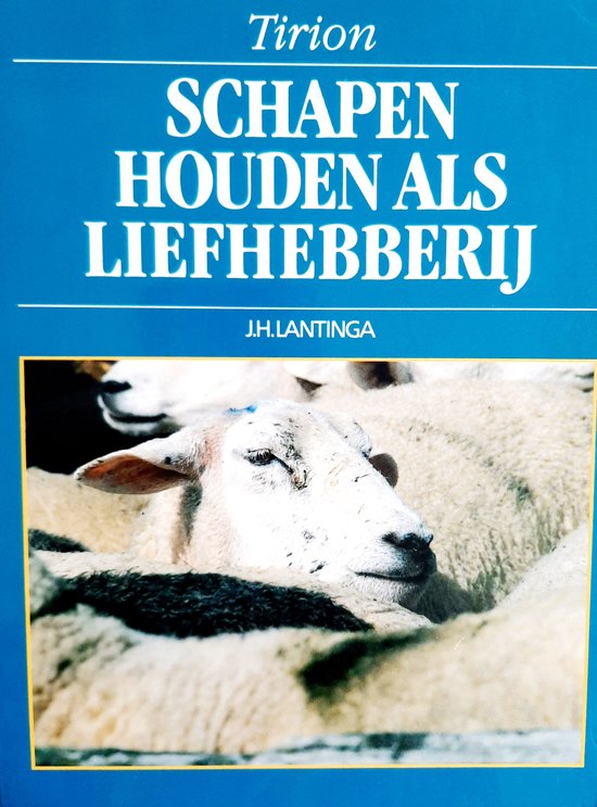 Schapen Houden Als Liefhebberij