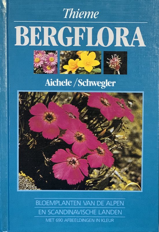 Bergflora