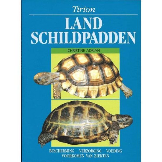 Landschildpadden