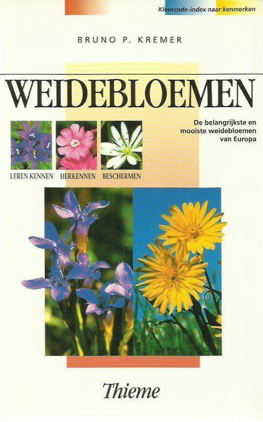 Weidebloemen