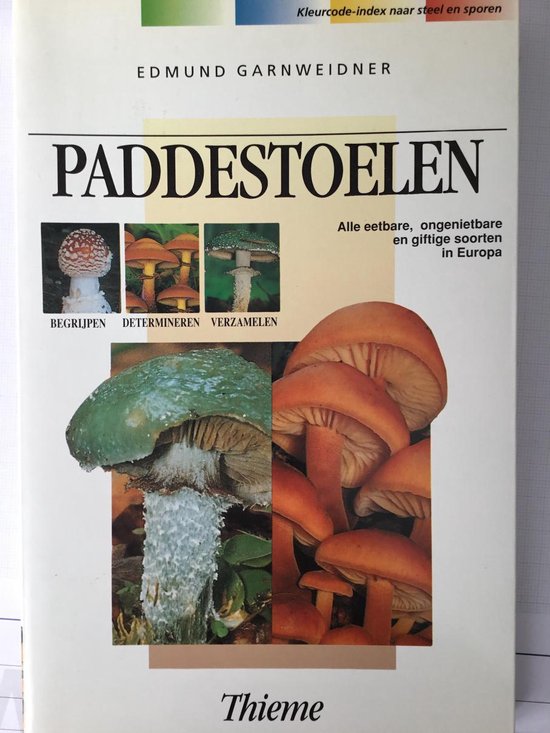 Paddestoelen