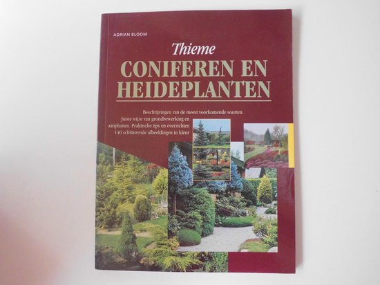 Coniferen en heideplanten