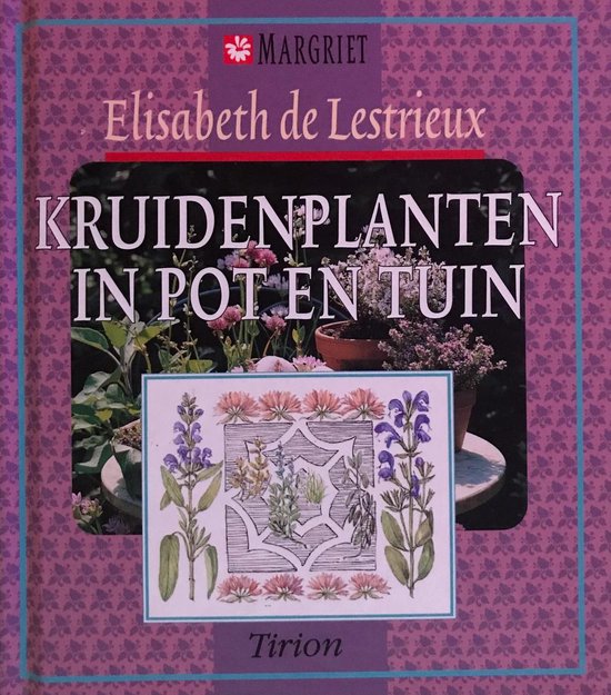 Kruidenplanten in pot en tuin