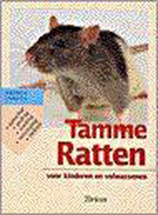 Tamme Ratten