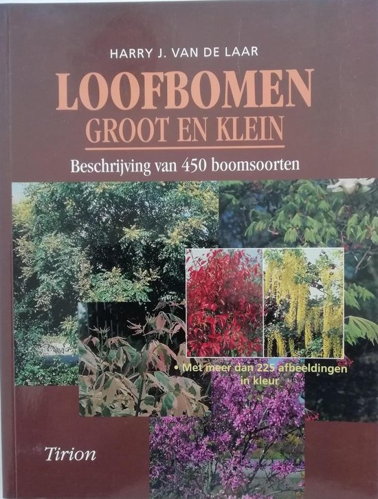 Loofbomen groot en klein