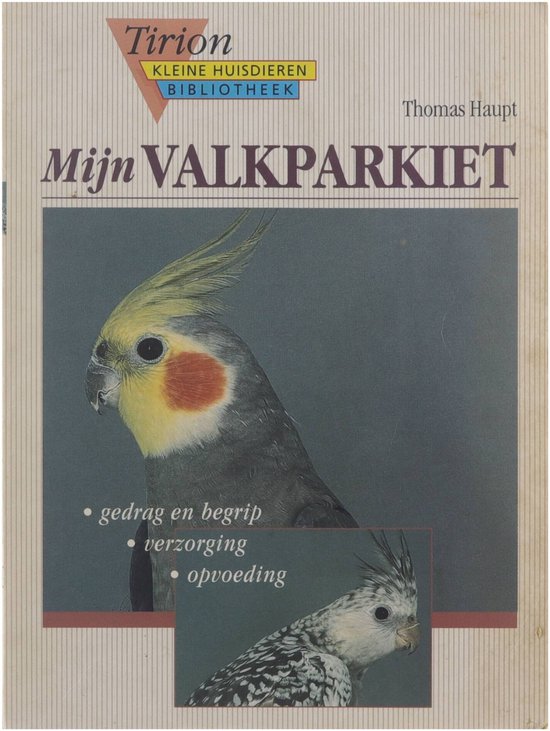 Mijn Valkparkiet