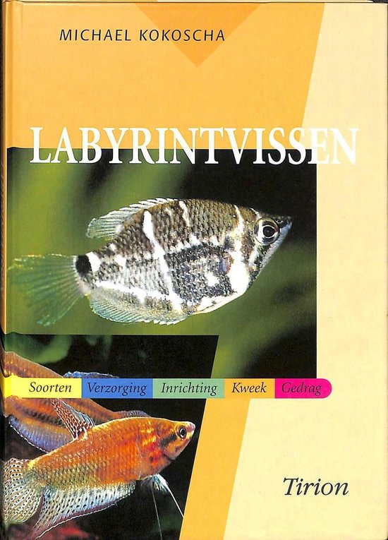 Labyrintvissen