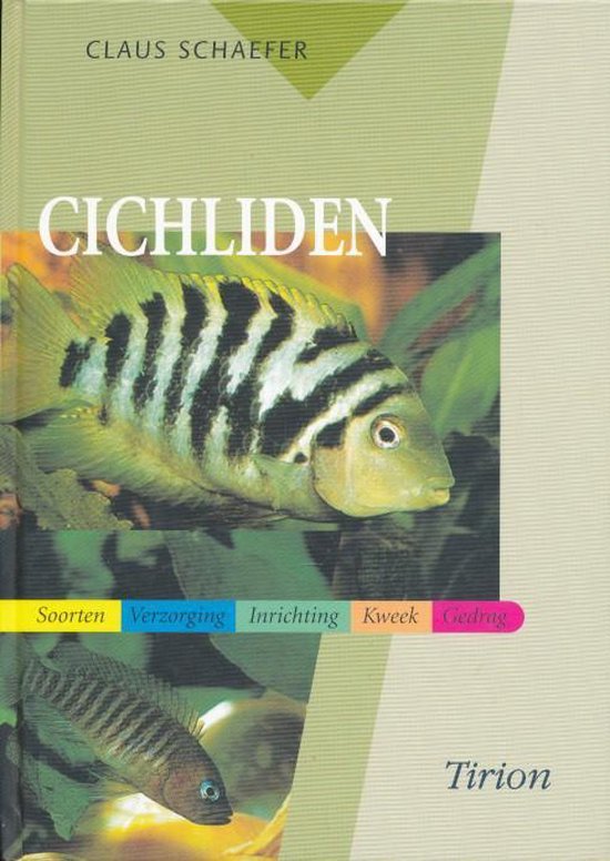 Cichliden