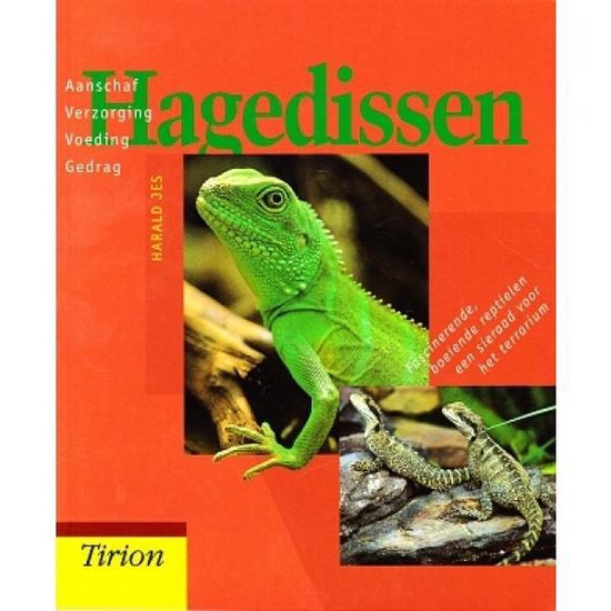 Hagedissen