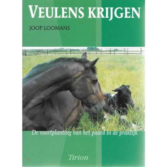 Veulens krijgen