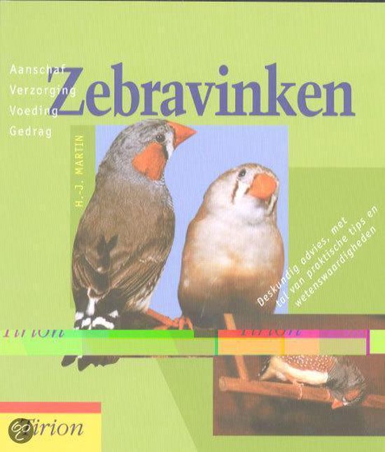 Zebravinken