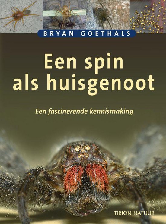 Spin Als Huisgenoot