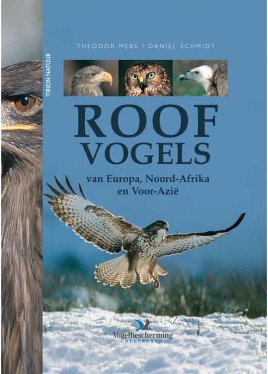 Roofvogels